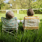 Brighton portable booster chair V2