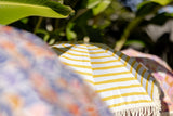 Brighton Mini Umbrella
